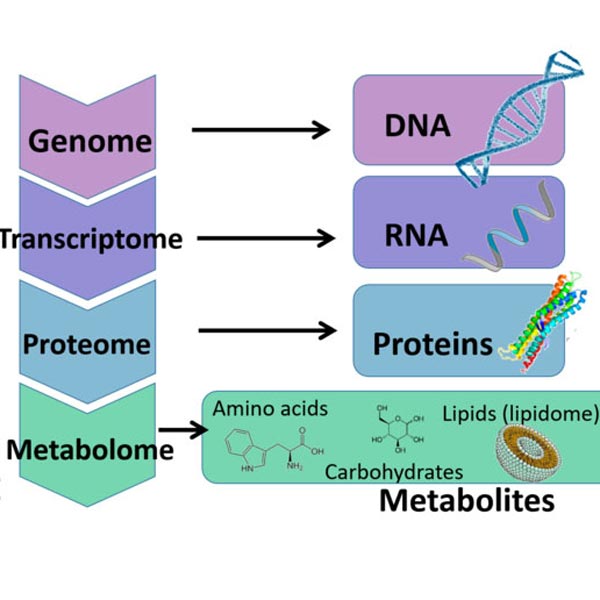 metabolomics and metabolites square
