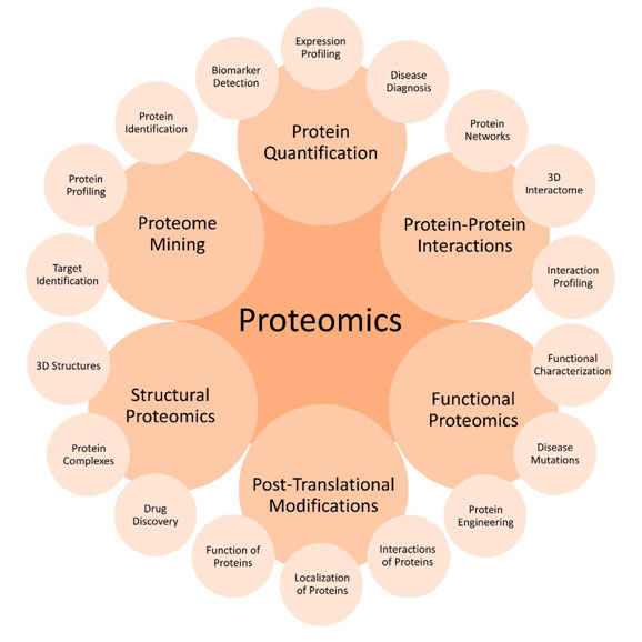 Overview of types of proteomics
